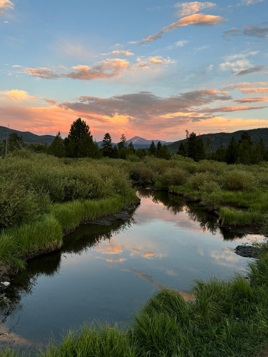 Budget Friendly callout