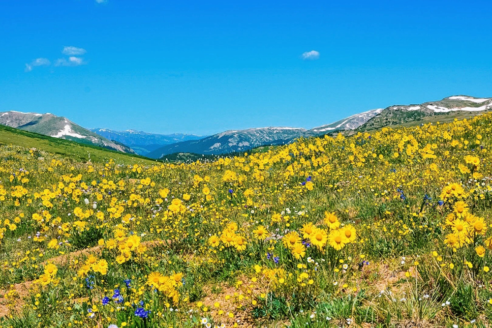 Thing To Do Year-Round Activities