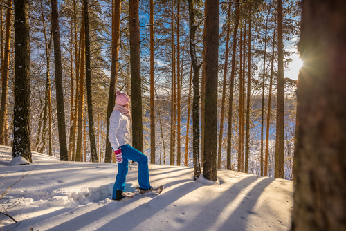 Things To Do Snowshoeing