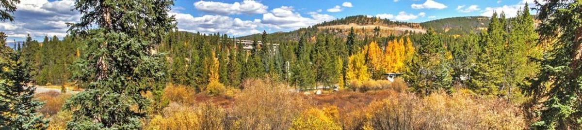 the warrior's mark neighborhood offers some of the best views in breckenridge